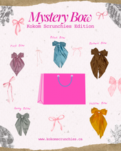 Load image into Gallery viewer, Mystery Bow with Barrette
